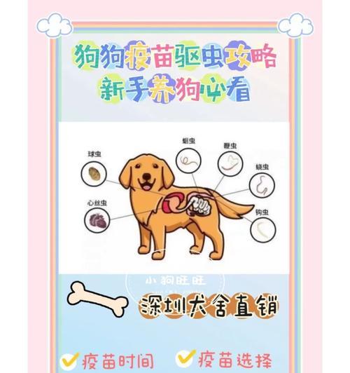 狗狗打完八联多久生效？（八联疫苗接种后的保护时间和效果如何？）
