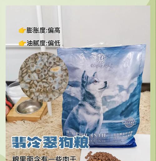 狗粮泡开需要多久？（探究狗粮泡开的时间与关键因素）