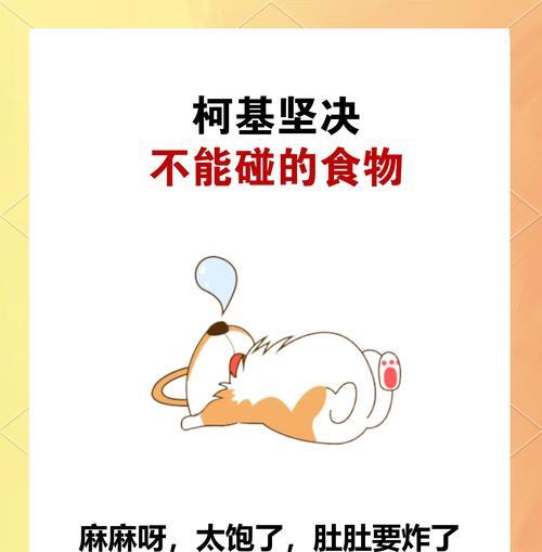 狗狗不能吃的食物（了解狗狗不能吃的食物，保护它们的健康）