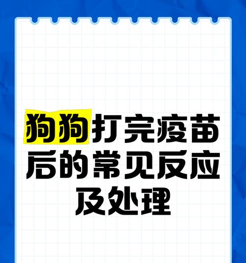 小狗疫苗接种计划（了解小狗疫苗接种时间表和注意事项，让你的宠物健康快乐成长）