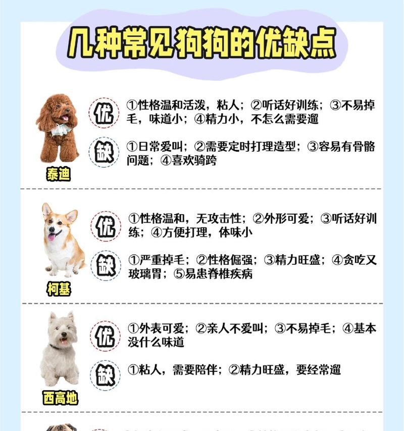 泰迪打过育苗后多久可以洗澡？（洗澡的最佳时间和注意事项）