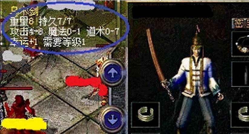 宠物猫心衰的症状和管理（掌握关键信息，保护爱宠）