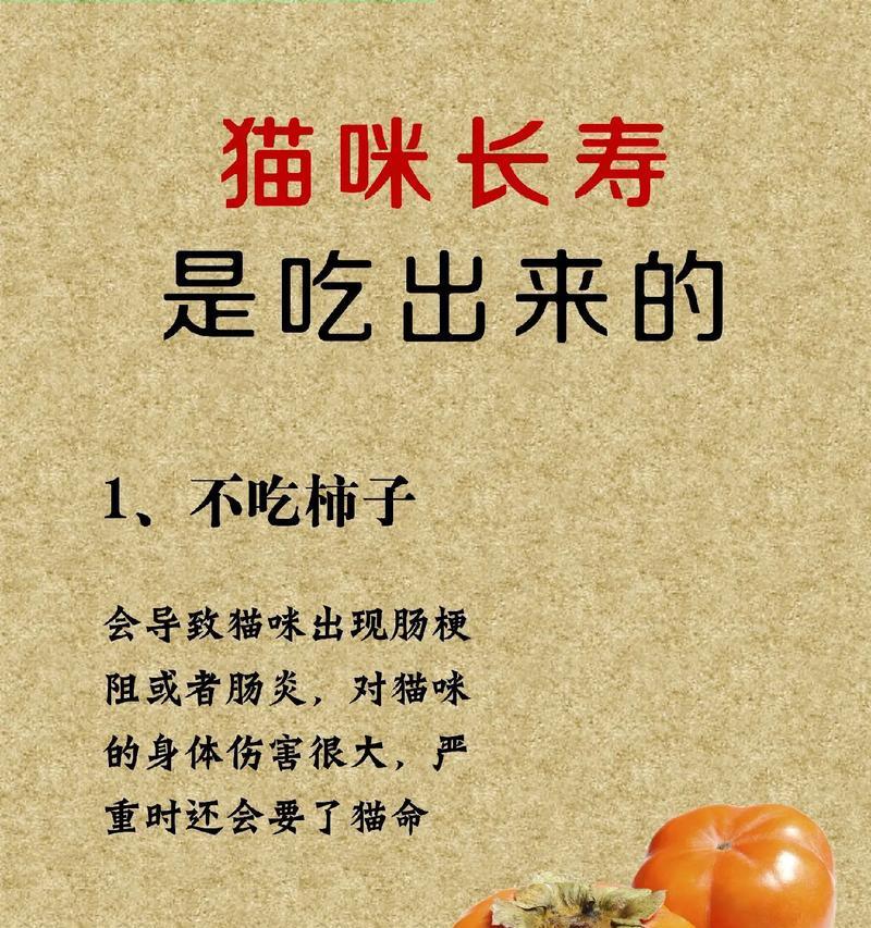 猫的饮食（了解猫咪的食物偏好和禁忌，让它们吃得健康快乐）