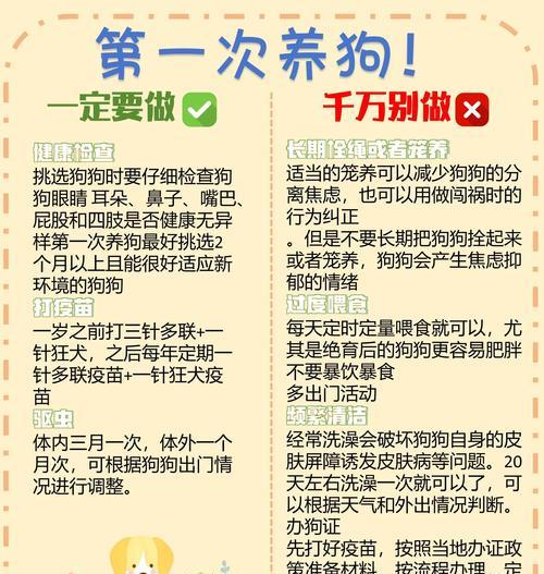 科学喂养狗狗的三个规则（合理狗粮喂养，关注宠物健康）