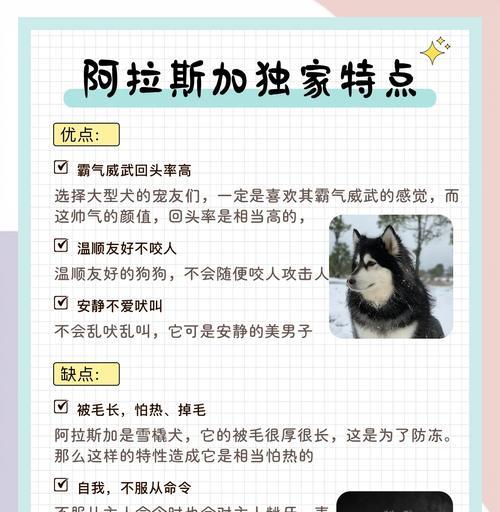 了解阿拉斯加养殖（探索养殖阿拉斯加的成本和方法）