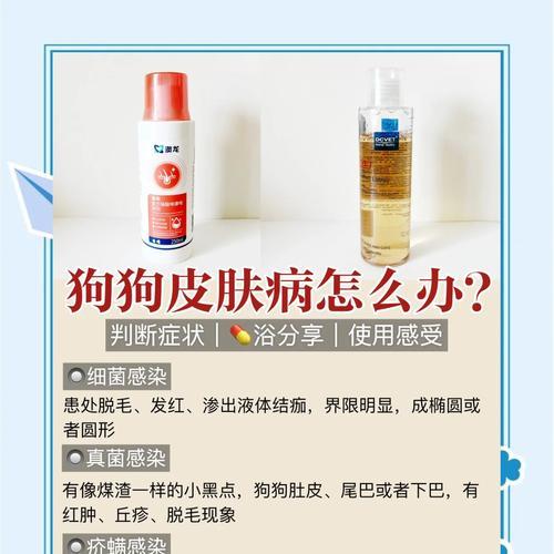 狗狗皮肤病的人药治疗方法（了解适合狗狗皮肤病的人药物治疗及其注意事项）