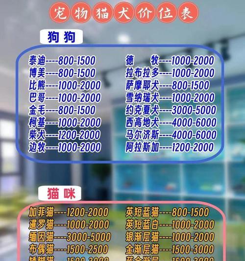 开宠物店所需的专业知识与技能（从饲养知识到营销策略，打造成功的宠物店经营之路）