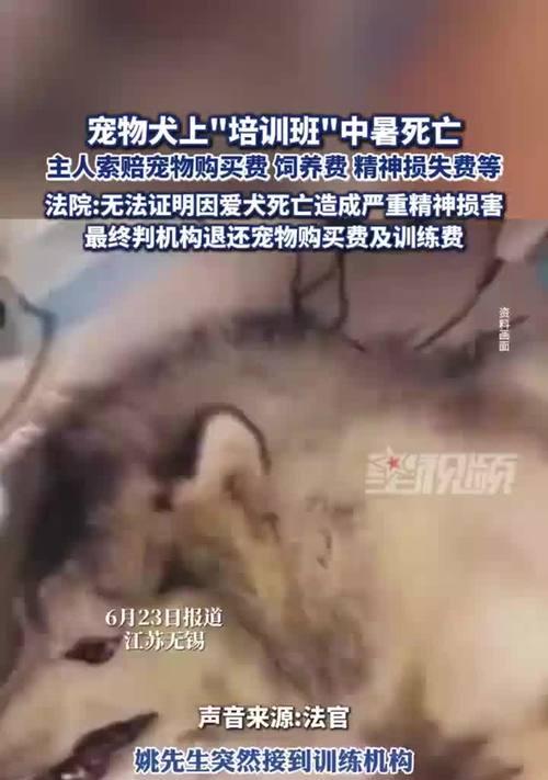 狗中暑致死的时间及预防措施（狗中暑致死时间长短取决于环境和狗的身体状况）