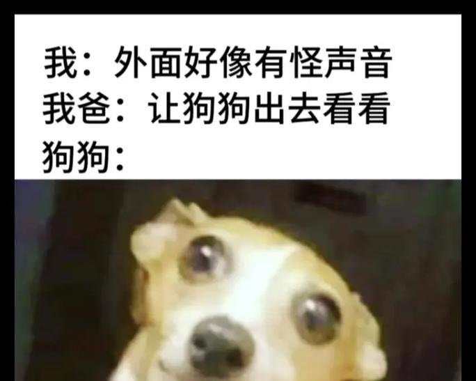 为什么狗狗见到主人都兴奋激动？（探寻狗狗兴奋激动背后的6个原因）