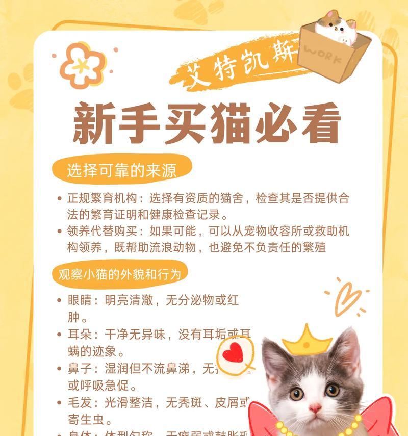 开宠物店需注意的事项（宠物店经营要点与经验分享）