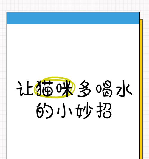 猫咪的水量与补充方法（如何让不爱喝水的猫咪保持足够水分）