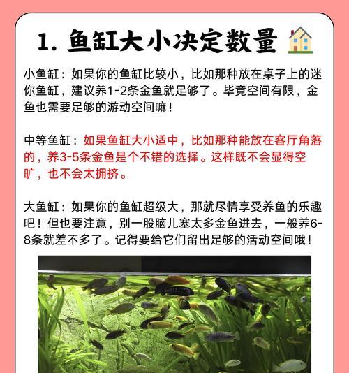 金鱼饲养的五种正确方法（养鱼不再难，掌握这五点让金鱼健康快乐）