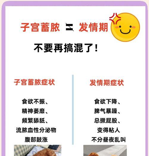 母狗生一窝后多久会再次生育？（了解母狗的生育周期和恢复时间，保障狗妈妈的健康与幸福）