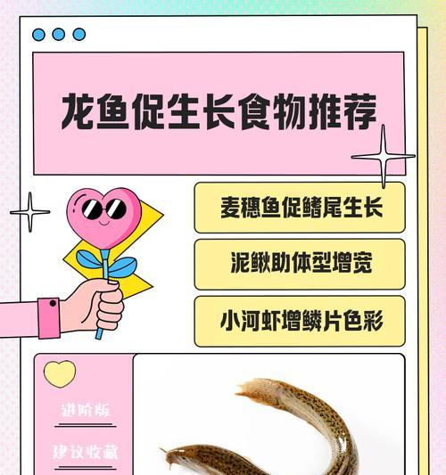 龙鱼产卵的周期与特点（了解龙鱼的繁殖行为及照顾要点）