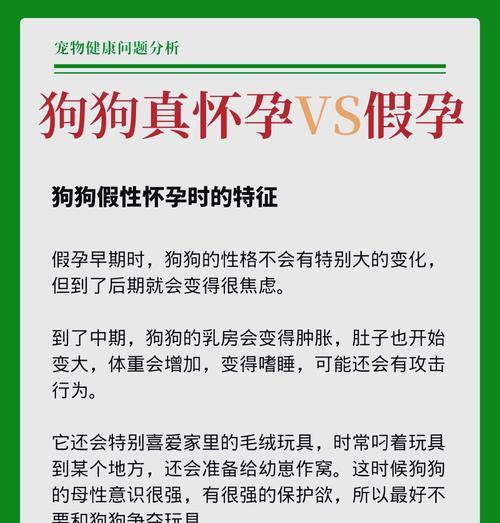 狗怀孕后洗澡的注意事项（了解狗怀孕期间的洗澡时间和频率，确保狗狗的健康）
