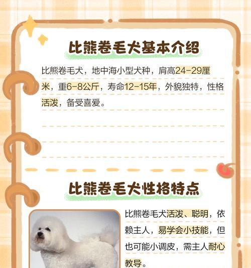 巴比熊犬百科（可爱迷人的巴比熊犬令人惊叹（）