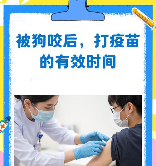 狗狗幼犬疫苗的时间安排（给宠物狗狗注射疫苗是保护它们健康成长的关键）