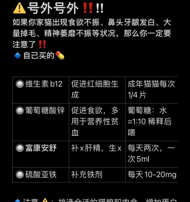 探究猫贫血的成因及预防措施（揭秘猫贫血的神秘面纱，保护宠物健康）