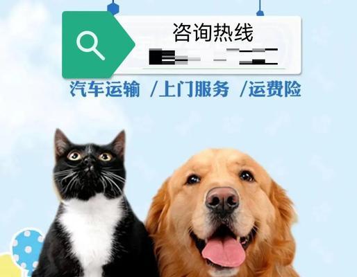 宠物出远门之托运宠物指南（解答宠物能否带上火车以及提供最全的托运宠物指南）