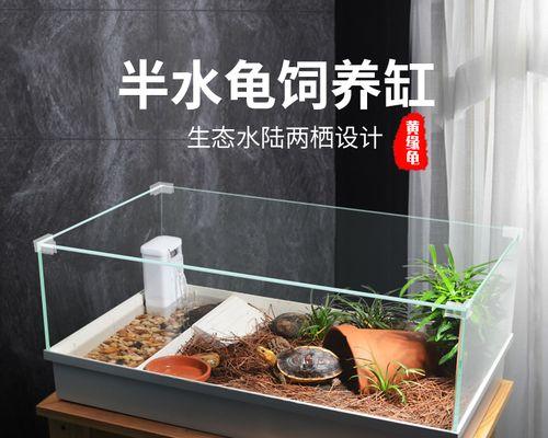 如何选择半水龟垫材？5种垫材优缺点分析（新手必看！了解半水龟垫材的选择和优缺点）
