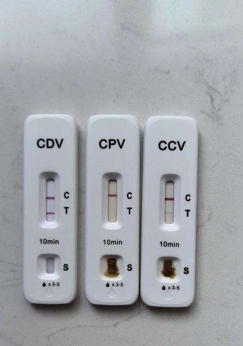 细小症状的不易察觉性及其潜在影响（细小症状）