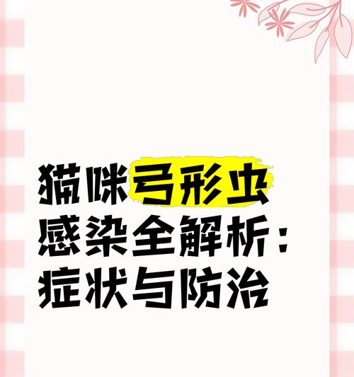 孕妇感染弓形虫的症状及预防方法（弓形虫感染引发孕妇的潜在风险和注意事项）