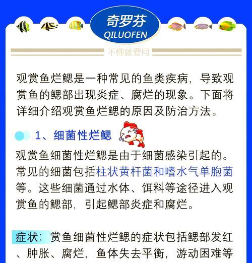 探索细菌性鱼病的发病原因与防治方法（从微观到宏观，全面了解细菌性鱼病）