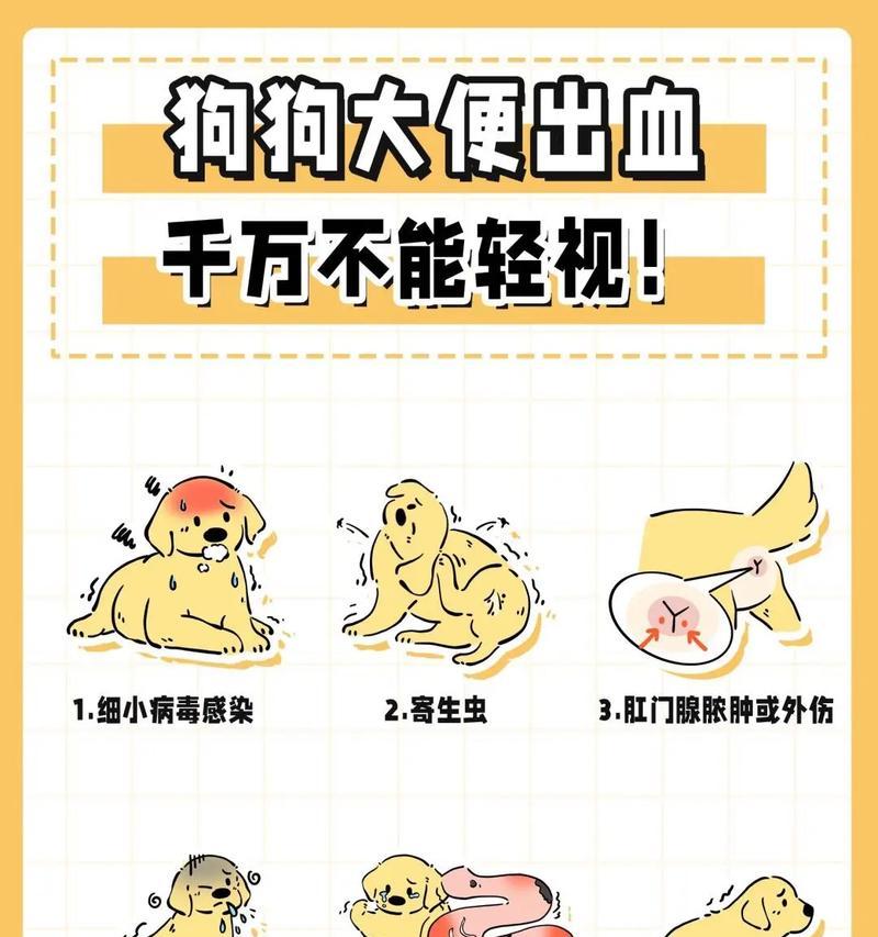 幼犬大便频率及时间间隔的解析（了解幼犬大便情况对健康管理至关重要）