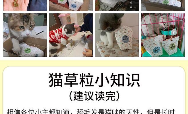 如何正确喂养宠物猫的毛罐头？（掌握合理的喂食频率，让猫咪健康成长）