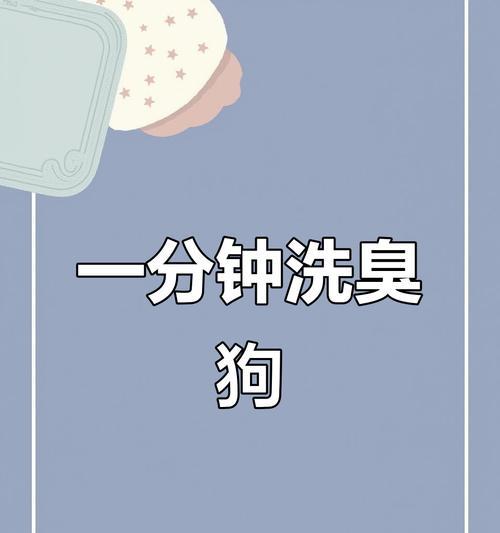 狗狗洗澡的最佳时间是什么时候？（狗狗洗澡频率及注意事项一览）