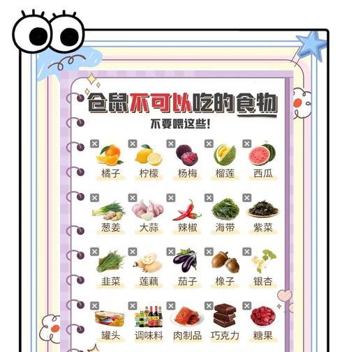 仓鼠能吃哪些人类食物？（探究仓鼠可食用的人类食物种类及注意事项）