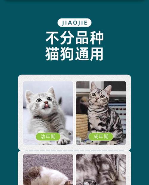 祖传小偏方，让猫咪和跳蚤说拜拜！（老祖宗亲传，猫咪健康无虞）