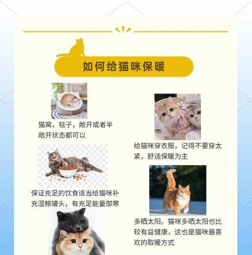 猫咪配种后多久可以洗澡？（科学时间安排洗澡对猫咪的配种健康至关重要）