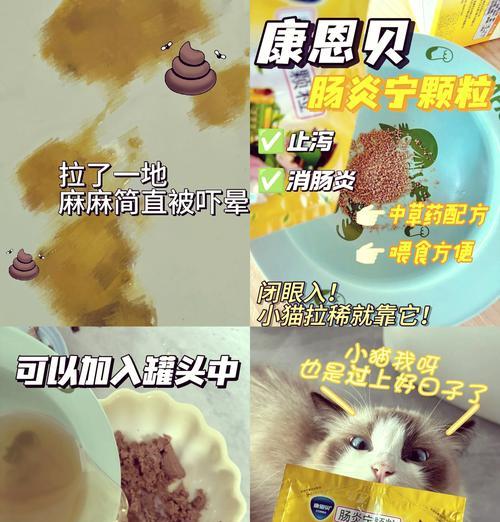 幼猫的排便频率及注意事项（掌握幼猫便便的规律，做好清理工作）