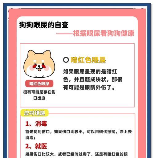 狗狗绝育后多久眼屎特别多的原因及解决办法（狗狗绝育后出现眼屎增多问题的关键原因及护理方法）