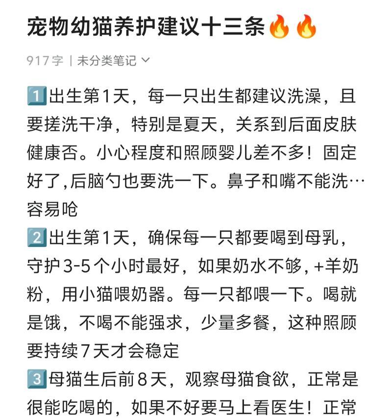 小猫出窝时间的预测及适应环境的关键因素（小猫出窝时间与成长环境的关联及关键因素分析）