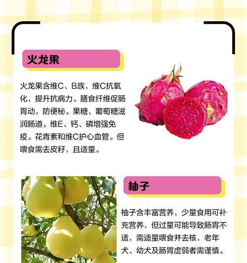 狗狗能吃桃子吗？（了解狗狗吃桃子的注意事项）
