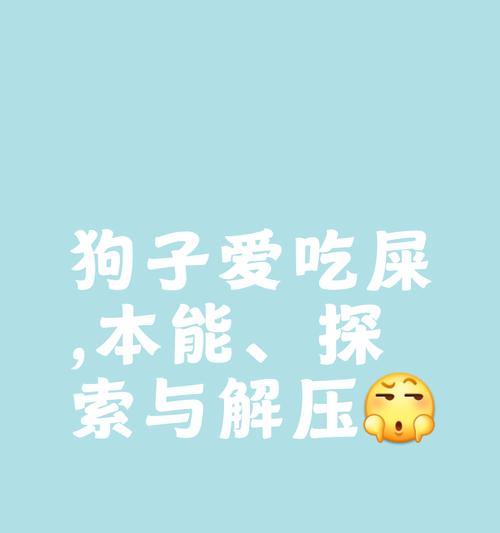 狗狗为什么喜欢吃屎？（探究狗狗吃屎的原因及如何改掉这个习惯）