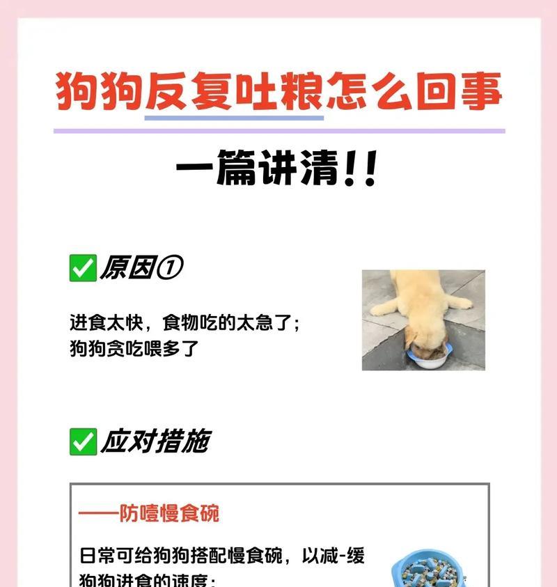 幼犬何时可以开始以硬粮为主食？（幼犬饮食转变的关键时期与注意事项）
