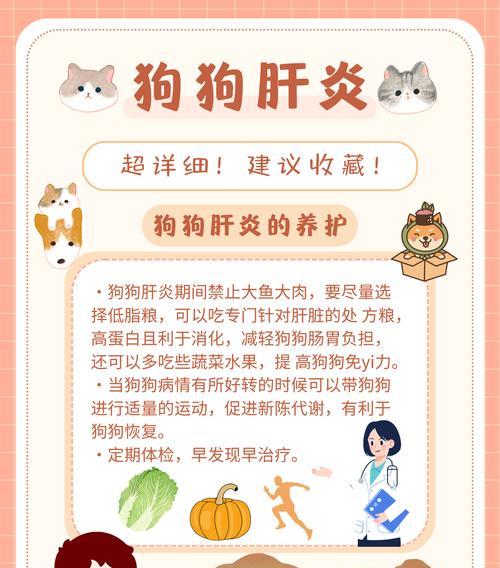 狗狗肝炎（揭示狗狗肝炎的成因和措施，保护你的爱宠）
