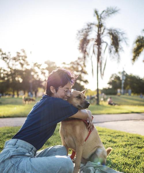 狗狗为何会吃大便？如何解决这个问题？（探究狗狗吃大便的原因及有效方法）