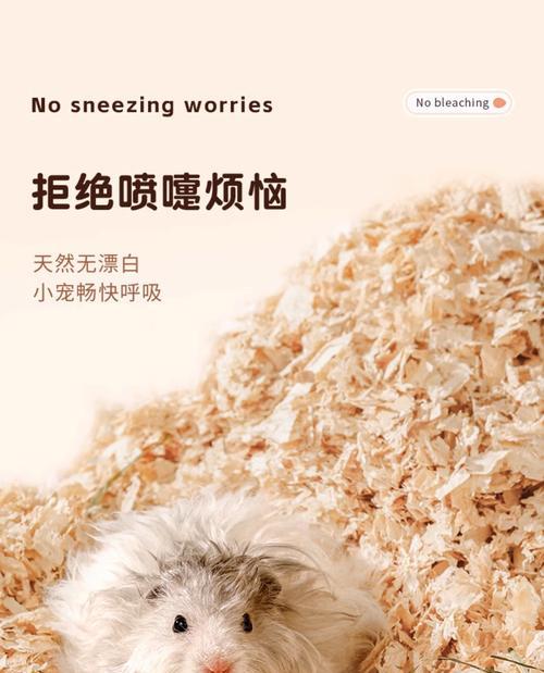 以纸代替木屑，仓鼠能存活多久？（纸质床垫对仓鼠健康的影响及使用建议）