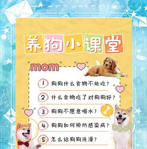 小狗出生后多久开始吃饭？（了解小狗饮食习惯的重要性）