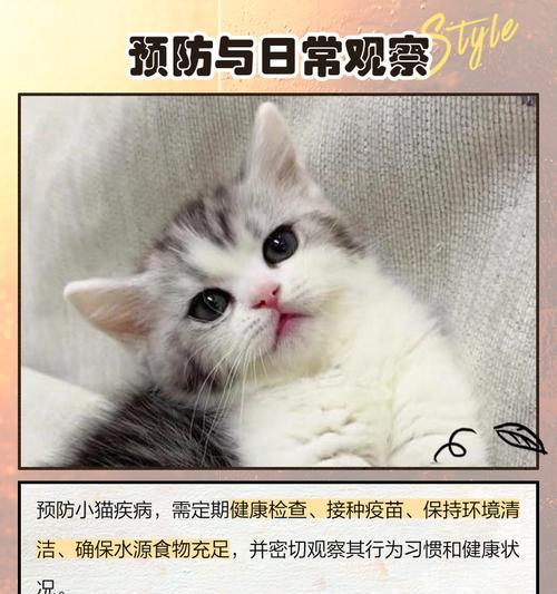 小猫不吃东西能活多久？（探究小猫饮食习惯对生命的影响）