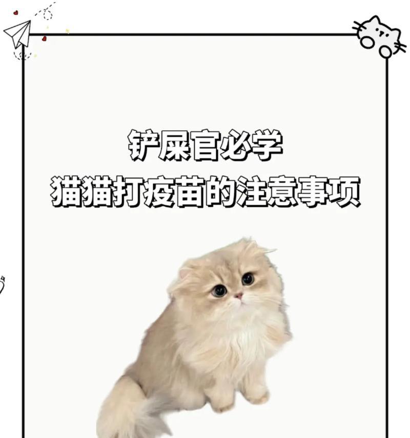 猫咪疫苗接种注意事项（保护宠物健康，正确打疫苗是关键）