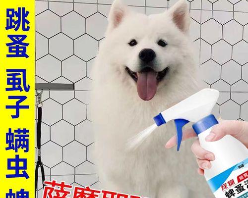 揭秘萨摩耶多久区虫的秘密（萨摩耶犬身上的区虫之谜）