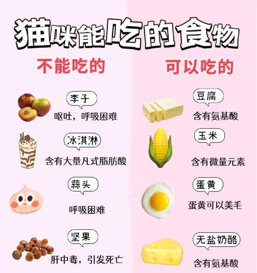 猫咪饮食安全（猫咪不能吃的食物及其危害）