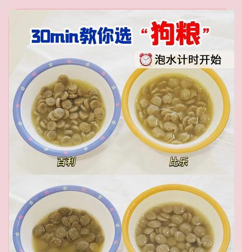 狗粮泡发时间的重要性（探索泡发时间对狗粮营养和消化的影响）