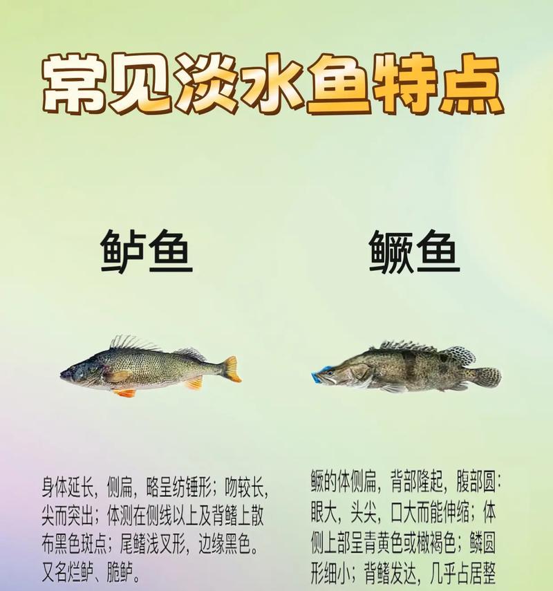 淡水鱼的多样性与养殖技巧（淡水鱼的分类与繁育、饲养要点及常见疾病防治）