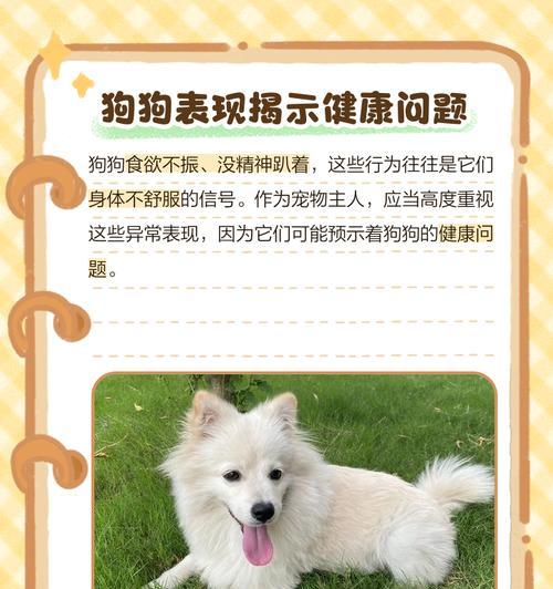 狗狗食欲不振的原因和应对方法